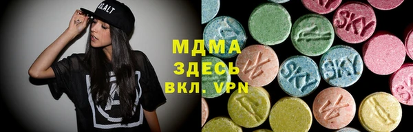 крисы Каменка