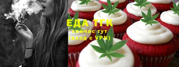 крисы Каменка