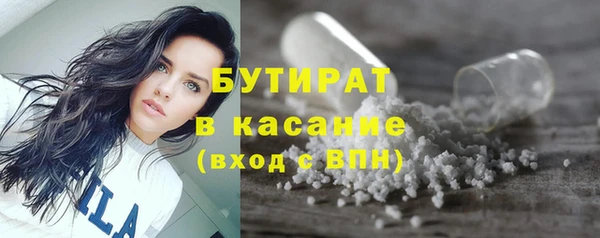 крисы Каменка