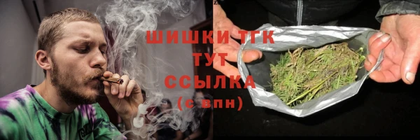 крисы Каменка