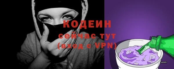 крисы Каменка