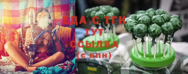 крисы Каменка
