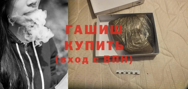 крисы Каменка