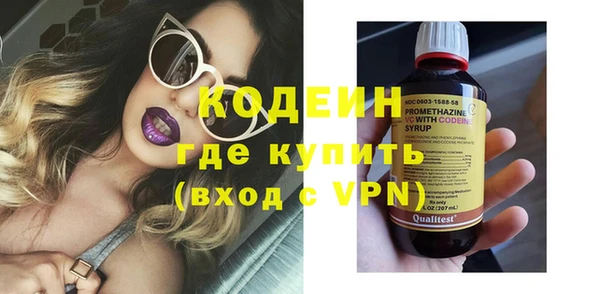 крисы Каменка